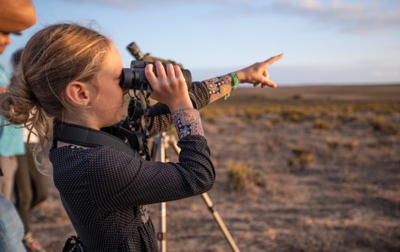 XI Sagres Birdwatching Festival