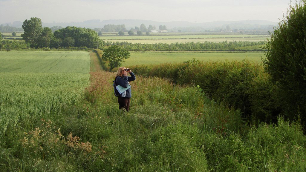 mulher a contar aves num campo agrícola