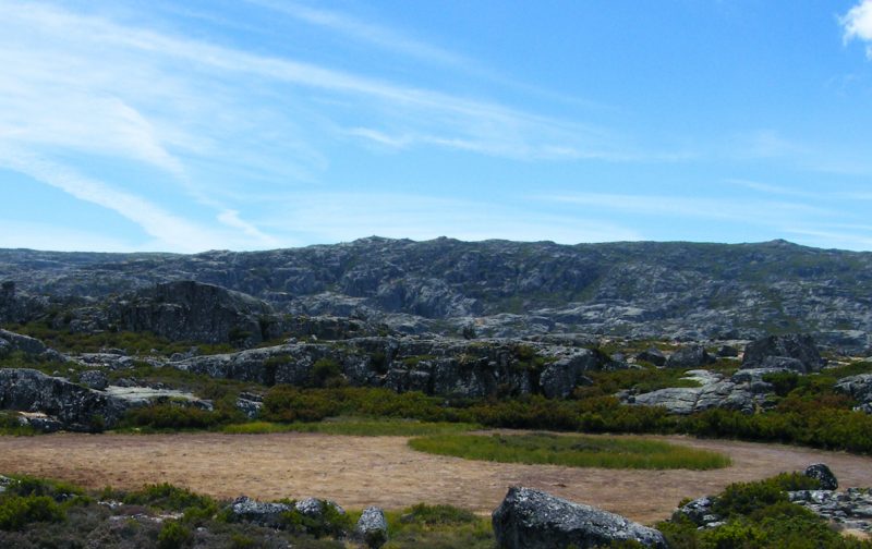 Serra da Estrela: vamos procurar as aves de montanha