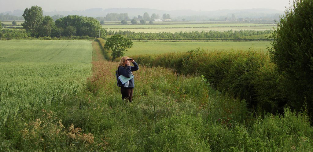 mulher no campo a olhar por binóculos com apontamentos debaixo do braço