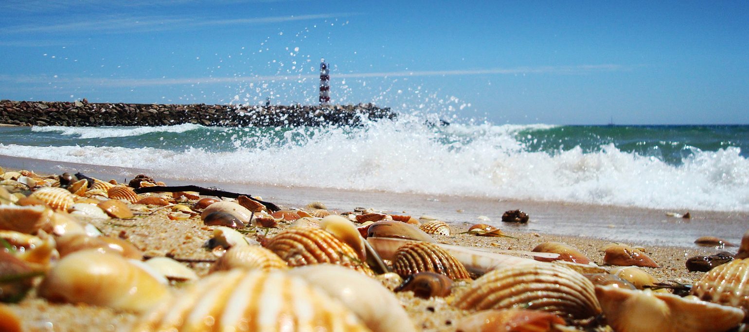 Praia da Ilha Deserta - conchas na areia com mar e farol ao fundo