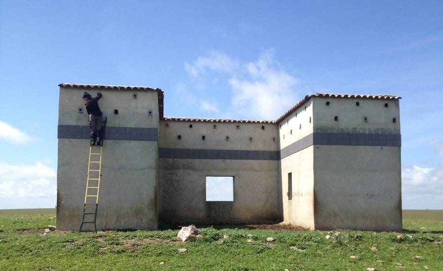técnico a fazer manutenção de ninhos artificiais num monte alentejano abandonado