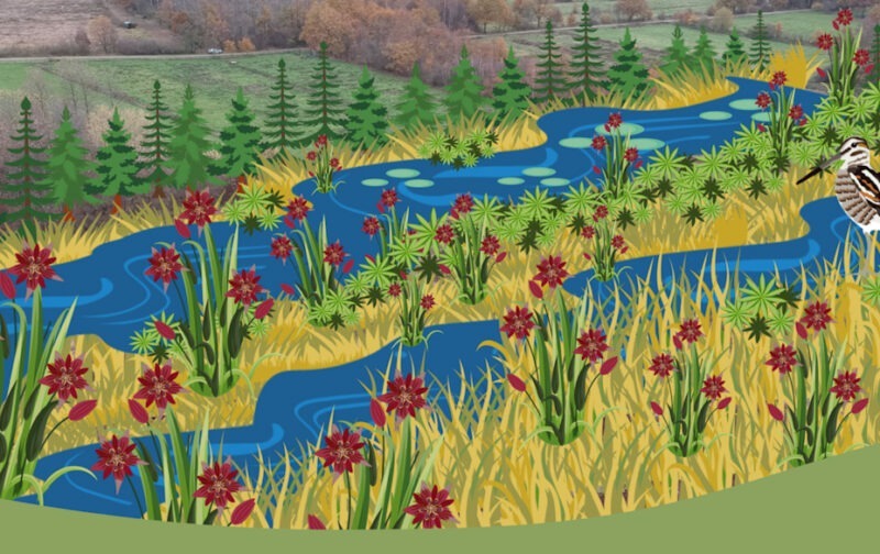 Exija que a UE traga a Natureza de volta