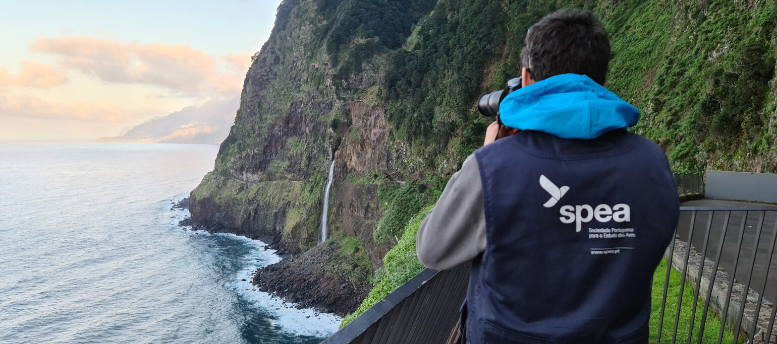 membro de staff SPEA a fotografar aves junto a uma falésia na Madeira