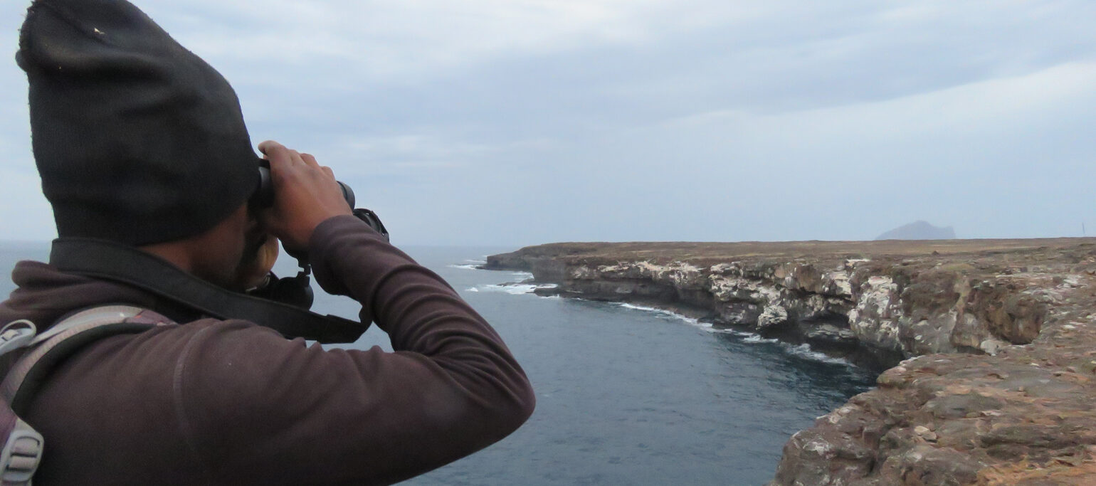 colaborador a contar colónias de alcatraz no Ilhéu Raso, Cabo Verde