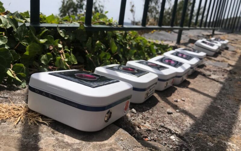 Primeiro laboratório de poluição luminosa na Madeira pretende ajudar a salvar aves marinhas