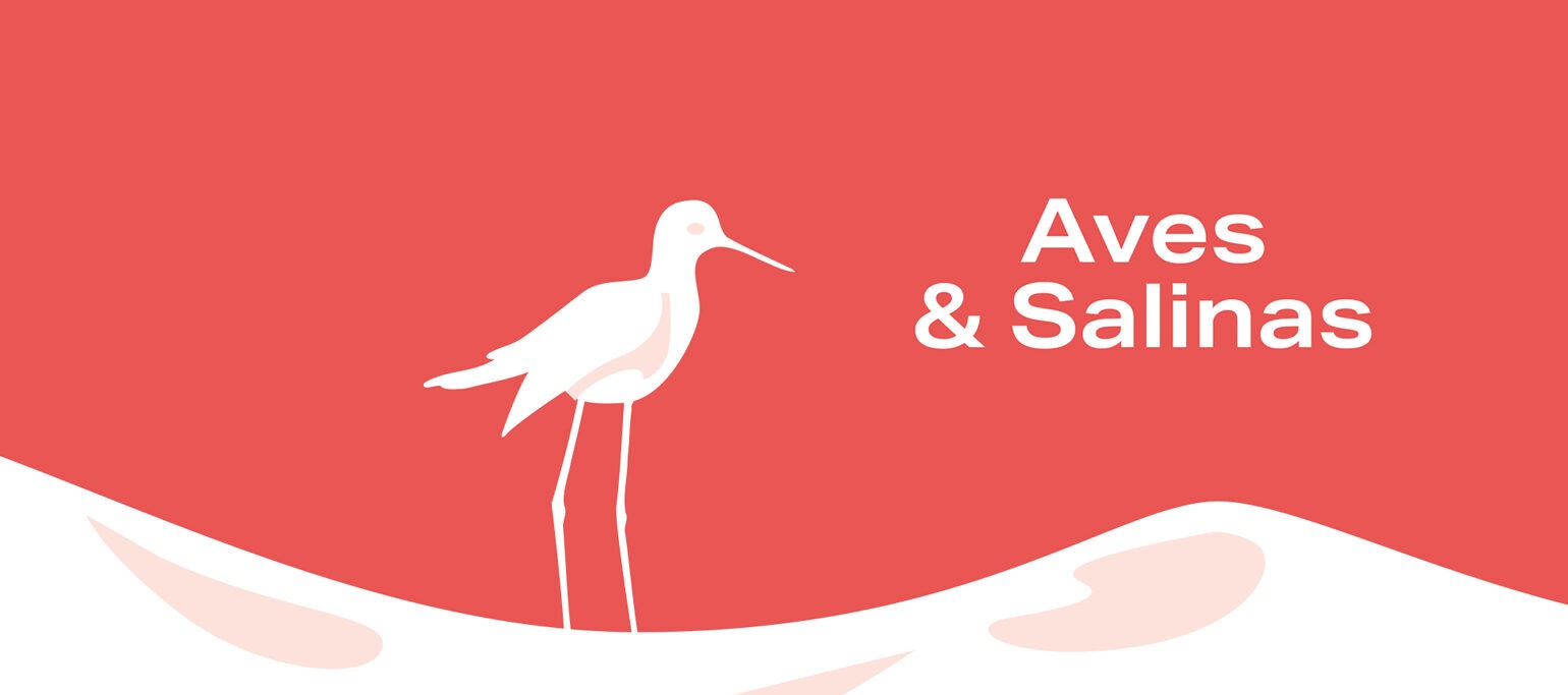 imagem da capa de Aves e Salinas: guia de boas práticas, mostrando uma ilustração estilizada de uma ave numa salina, com fundo vermelho