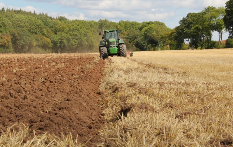 Governo perpetua assalto à Natureza