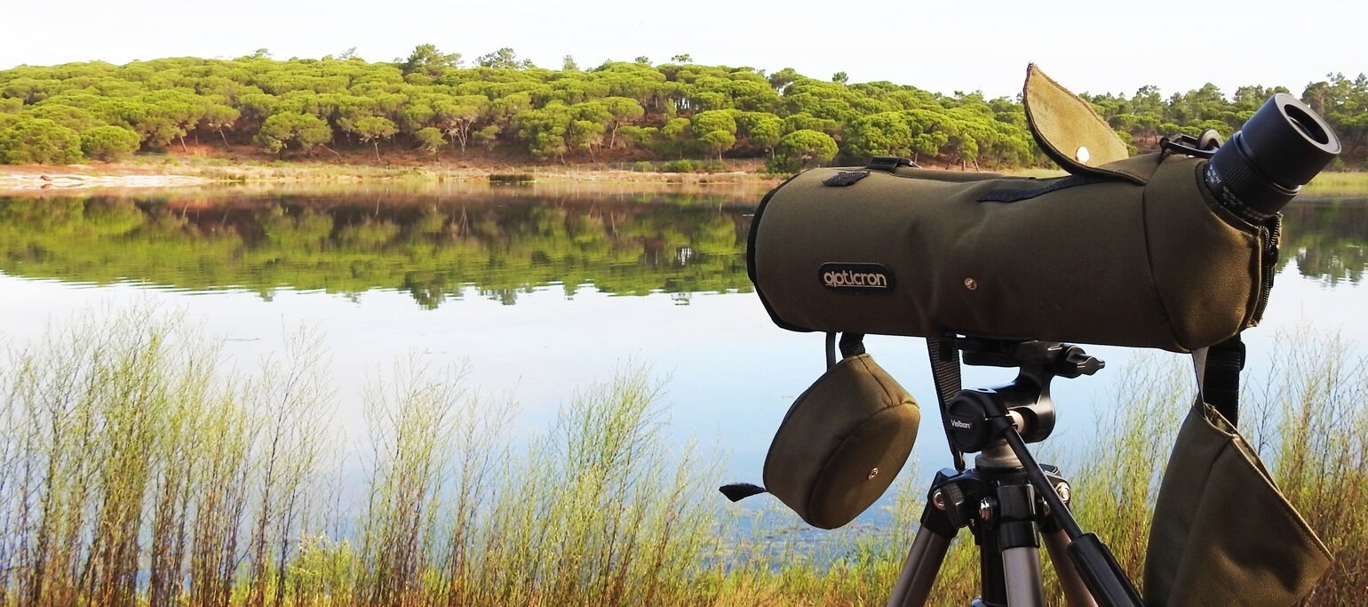 telescópio apontado para a lagoa pequena, com ervas altas em primeiro plano e árvores na margem distante da lagoa
