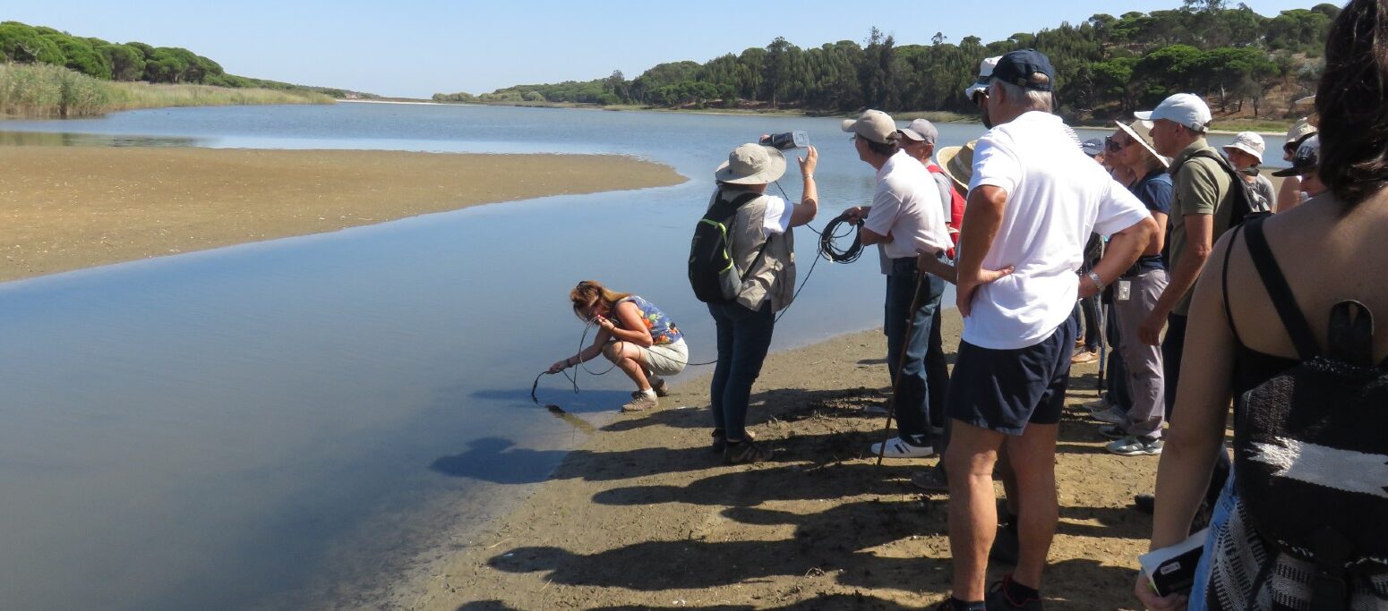 famílias numa atividade de descoberta da Lagoa de Albufeira