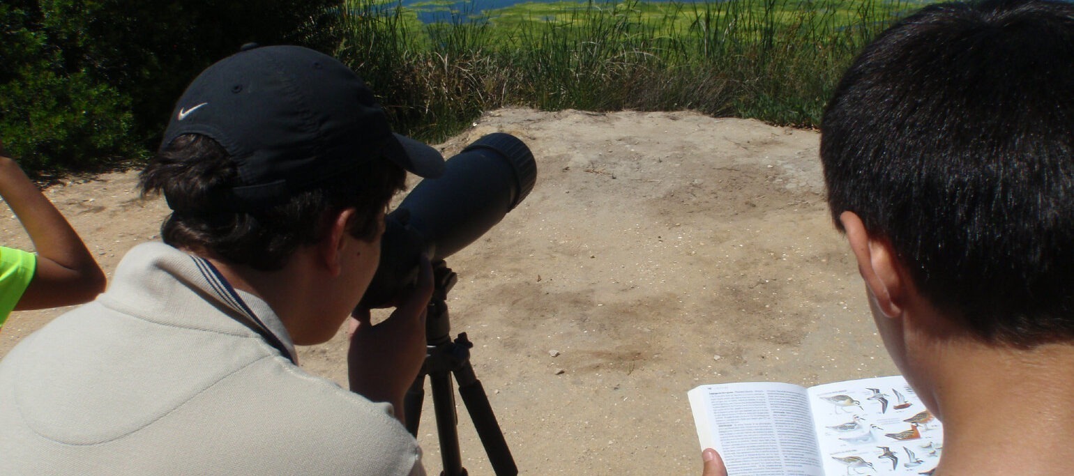 rapaz a observar aves por um telescópio enquanto outro consulta guia de aves
