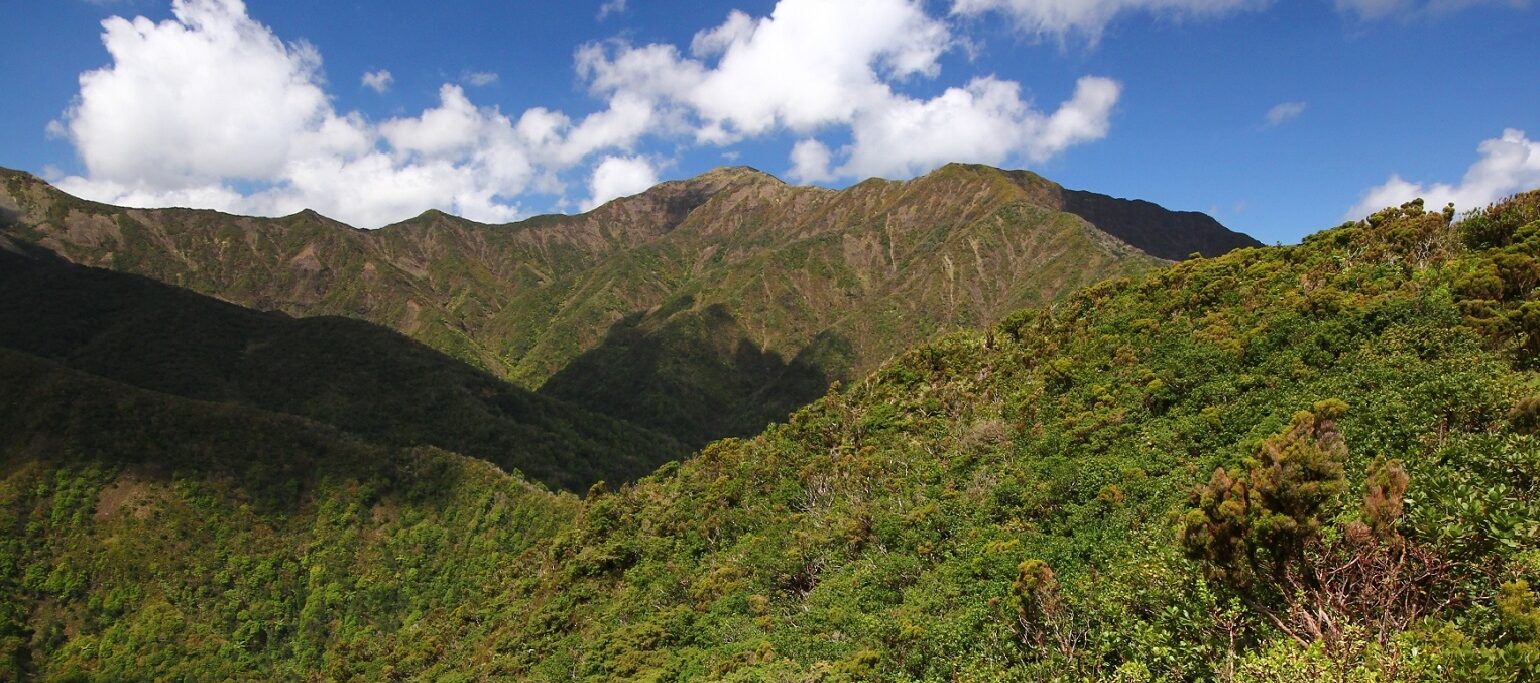 Serra da Tronqueira, São Miguel