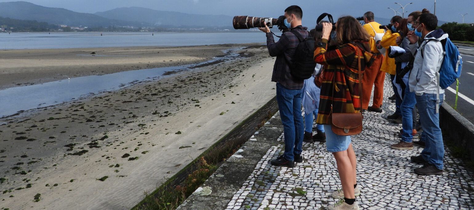 pessoas a observar aves junto ao Rio Minho