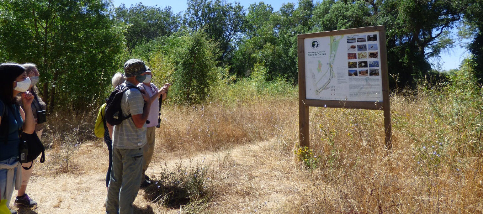 pessoas num caminho junto ao Paul do Boquilobo, perto de um painel informativo
