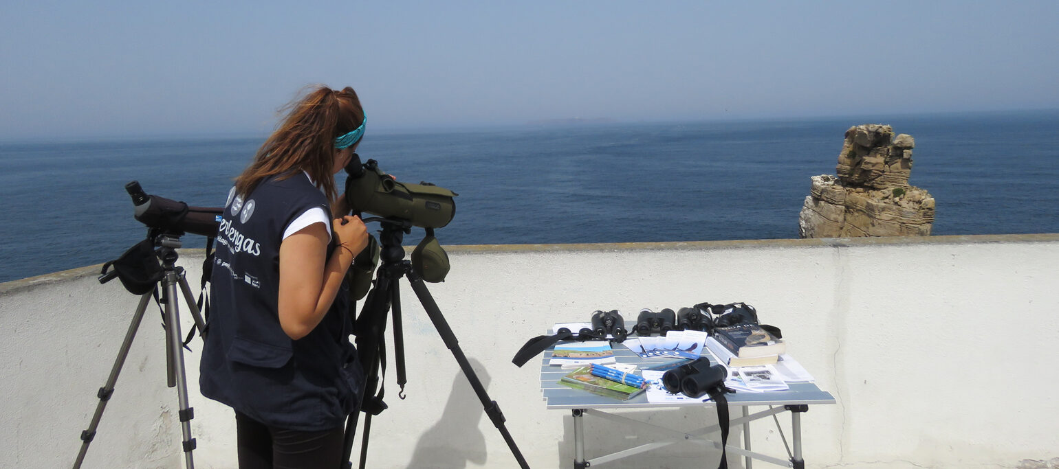 membro de staff SPEA em sessão de observação de aves no Cabo Carvoeiro