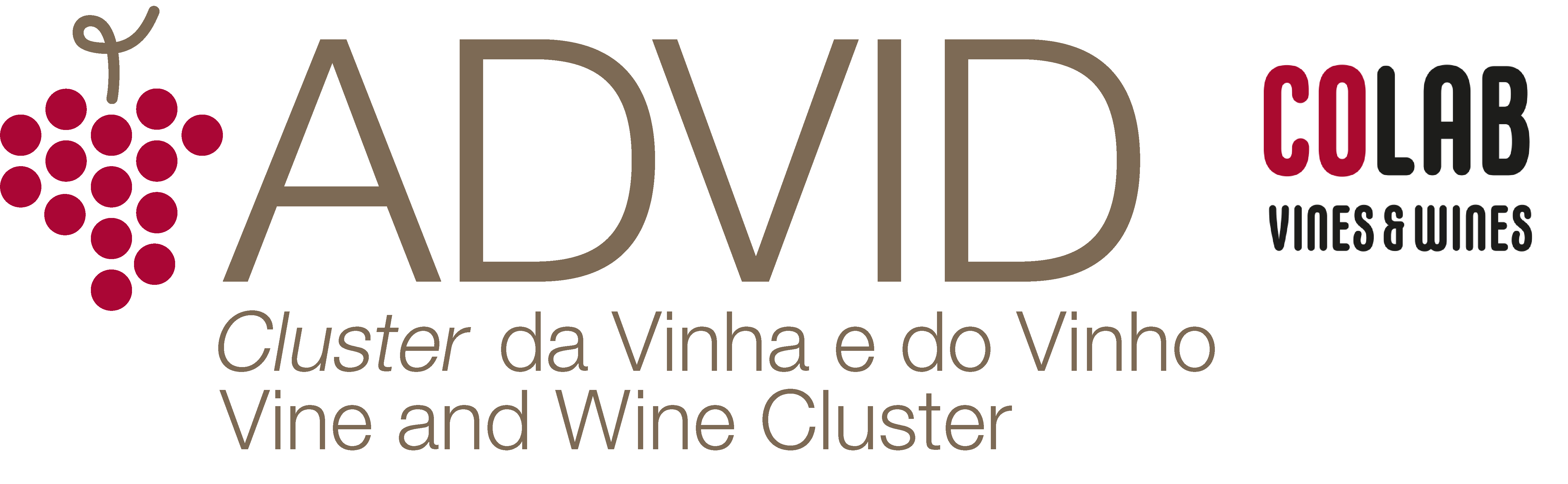 logo ADVID 