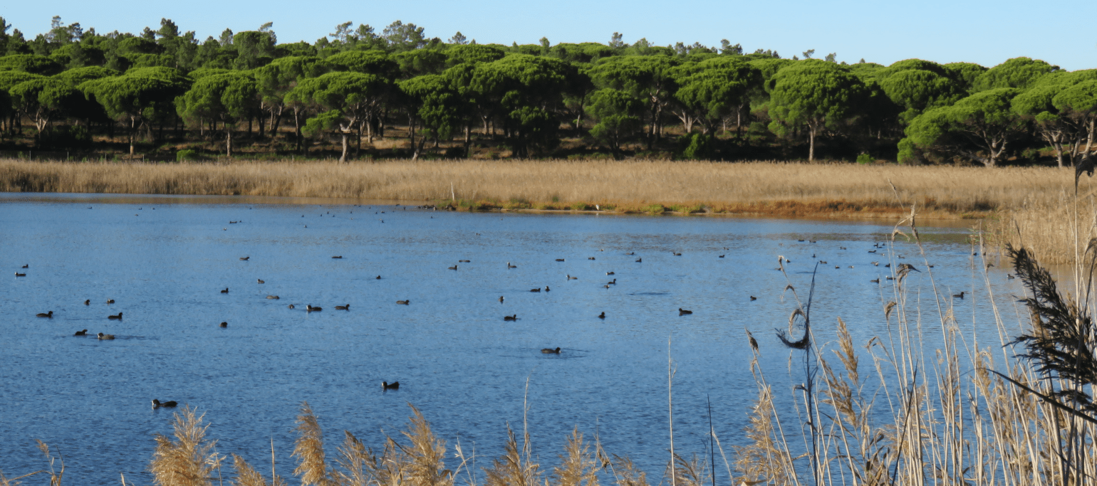 Lagoa Pequena
