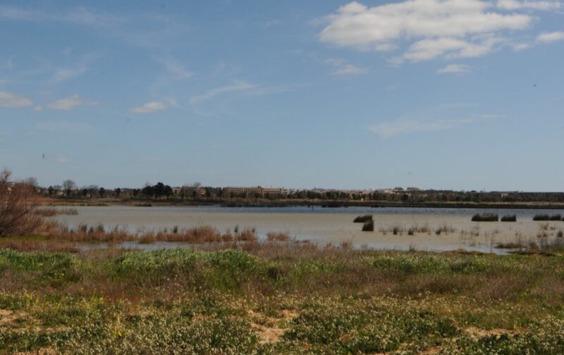 Lagoa dos Salgados: a persistência compensa