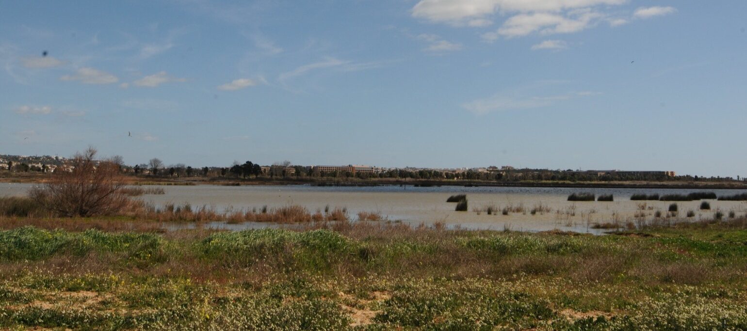 Lagoa dos Salgados