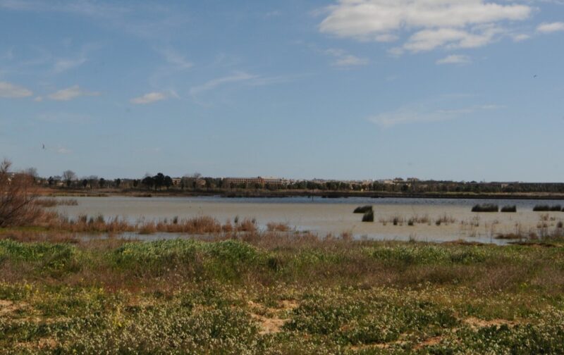 Apoie a Reserva Natural da Lagoa dos Salgados: participe na consulta pública