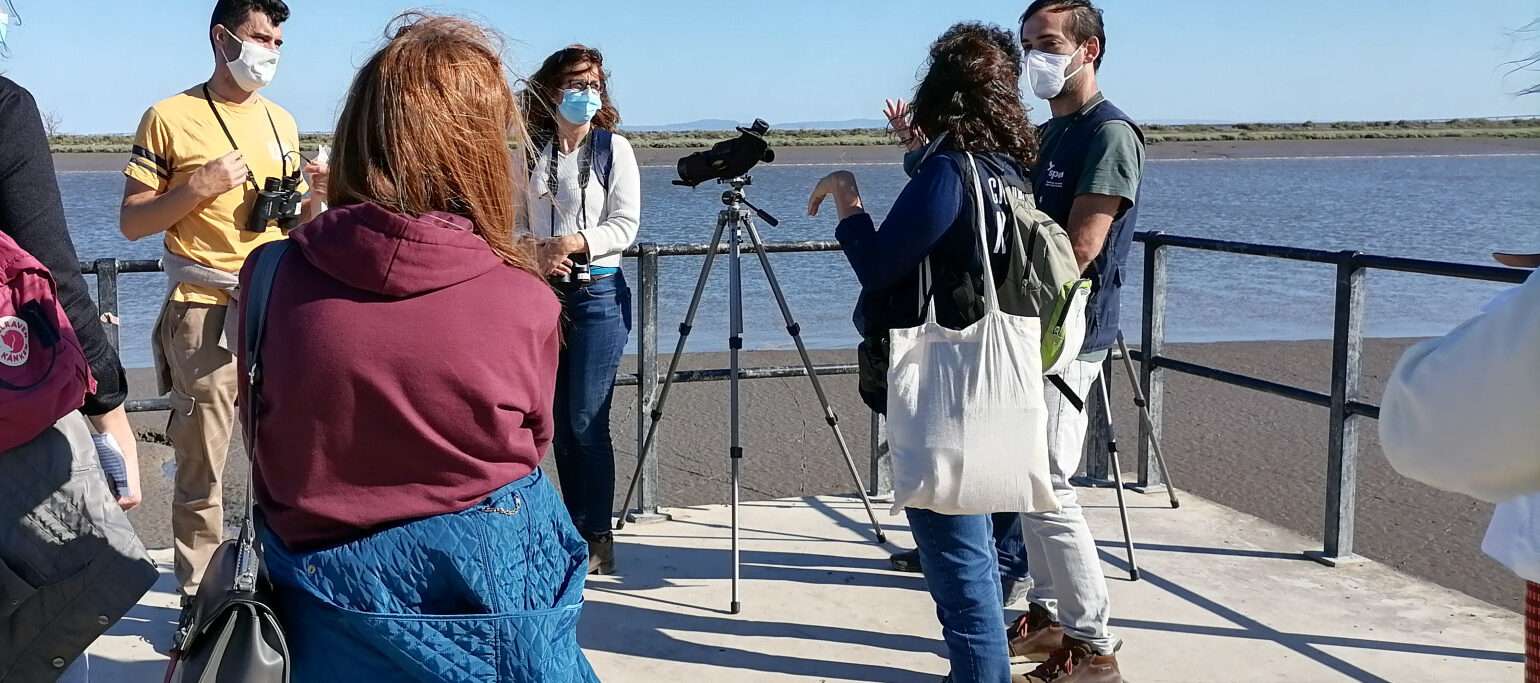 grupo de pessoas em sessão de observação de aves, com telescópio, na Praia dos Pescadores (Póvoa de Santa Iria)