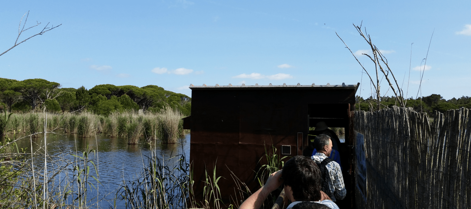 pessoas a fazer observação de aves na Lagoa Pequena
