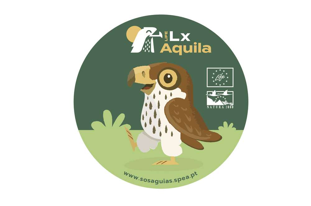 mascote LIFE LxAquila: uma águia-de-bonelli