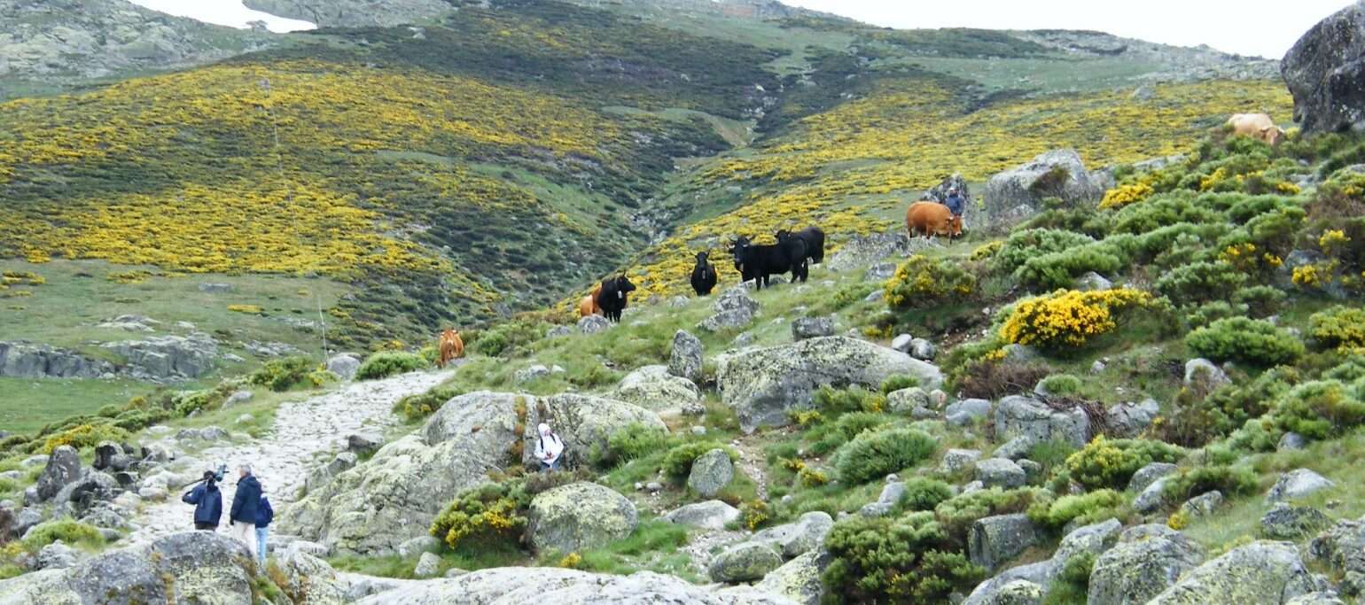 paisagem da serra de gredos