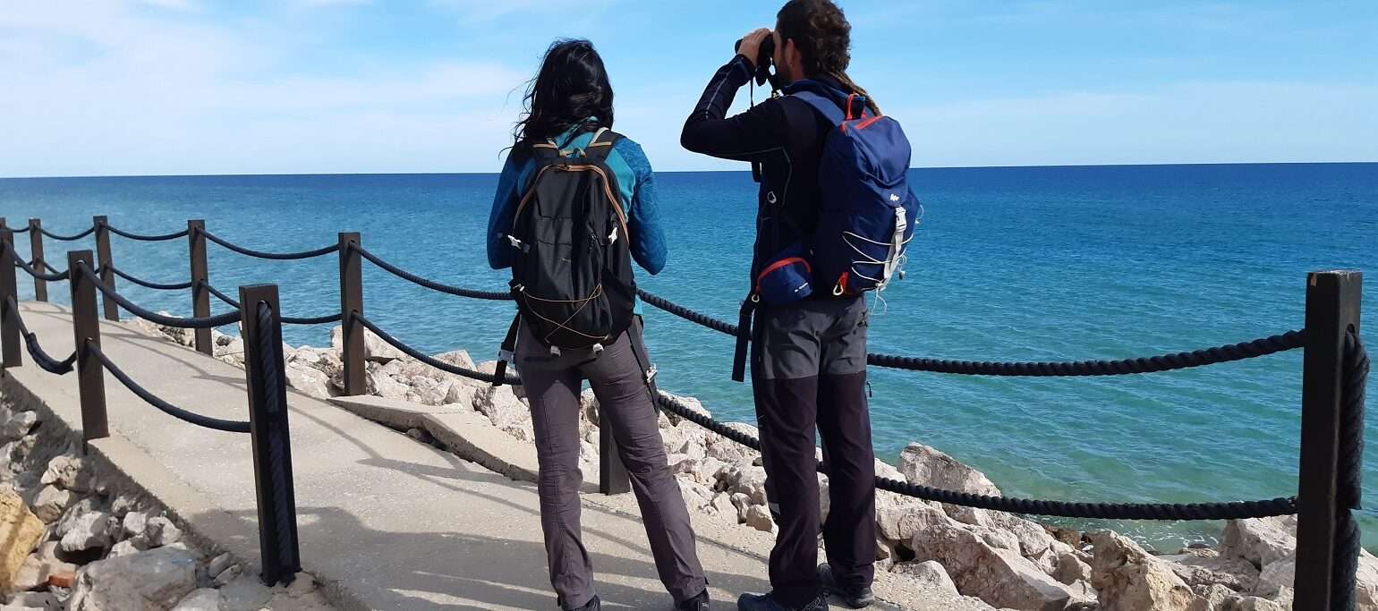 pessoas a observar aves em passadiço na zona costeira