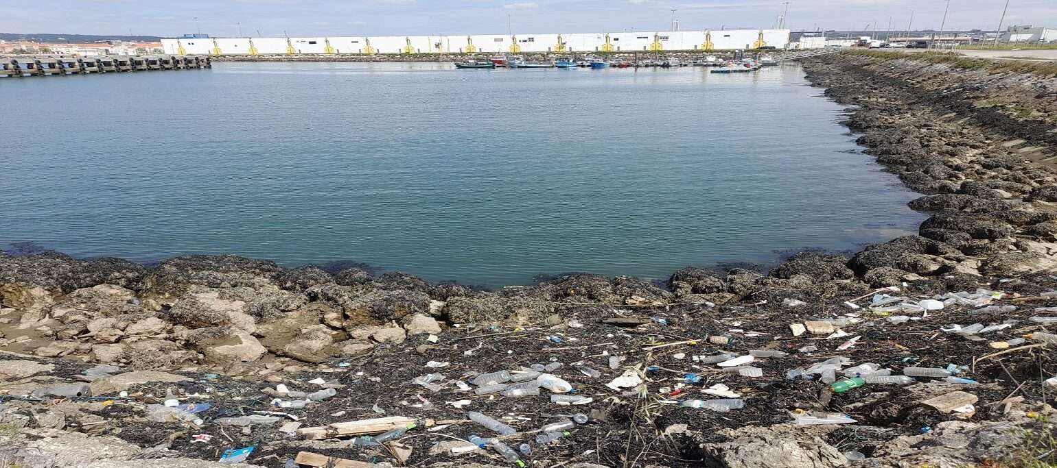 porto pesca Figueira da Foz
