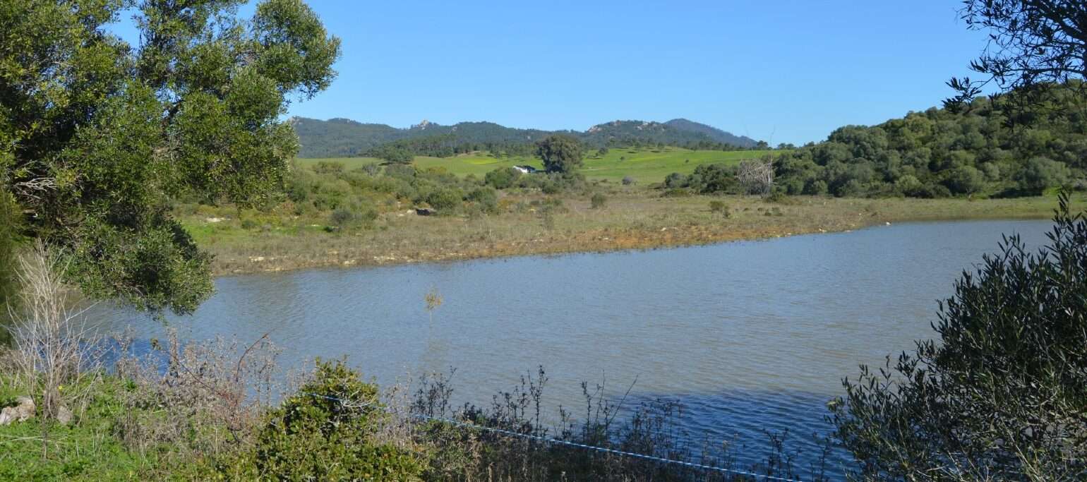 Quinta do Pisão