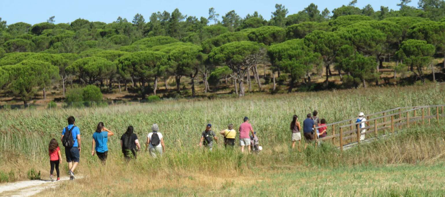 voluntários e visitantes na Lagoa Pequena