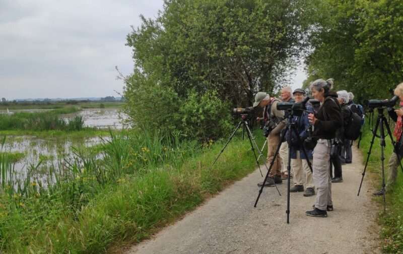 Eurobirdwatch 2024 – 2º dia