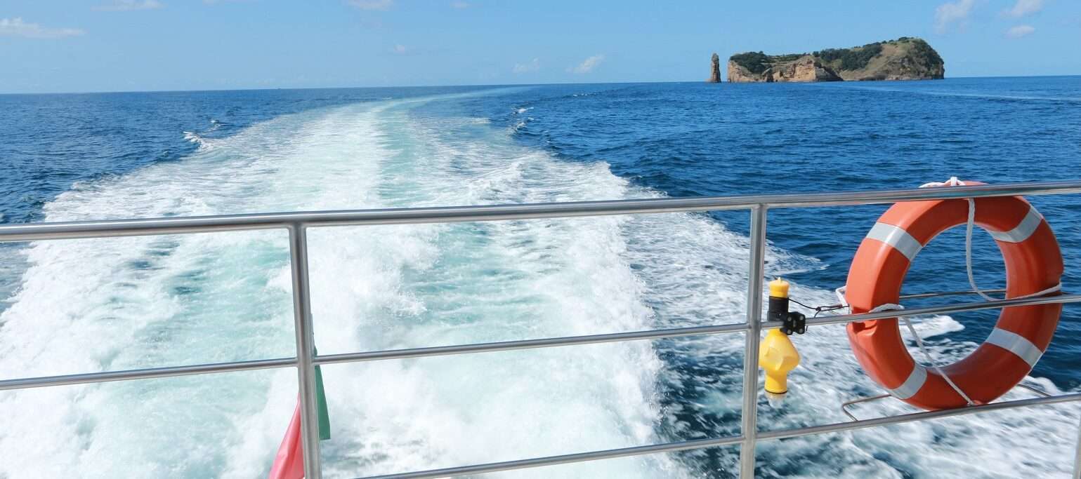 saída de barco para ver aves marinhas