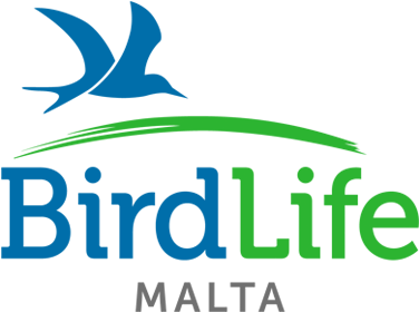 logo BirdLife Malta 