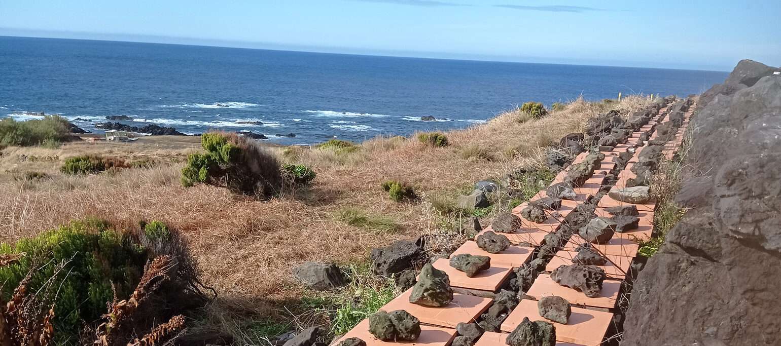 vista dos ninhos artificiais na Reserva Biológica do Corvo