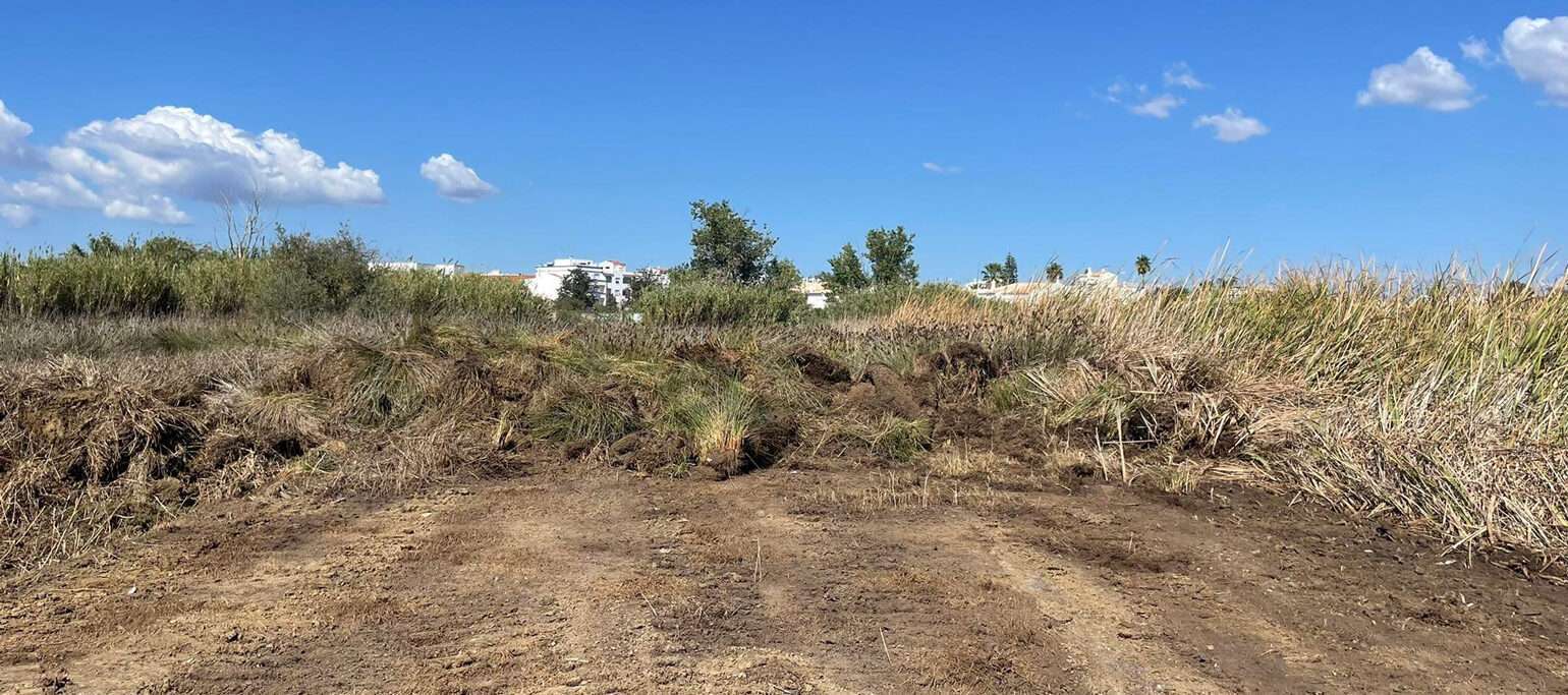destruição das Alagoas Brancas
