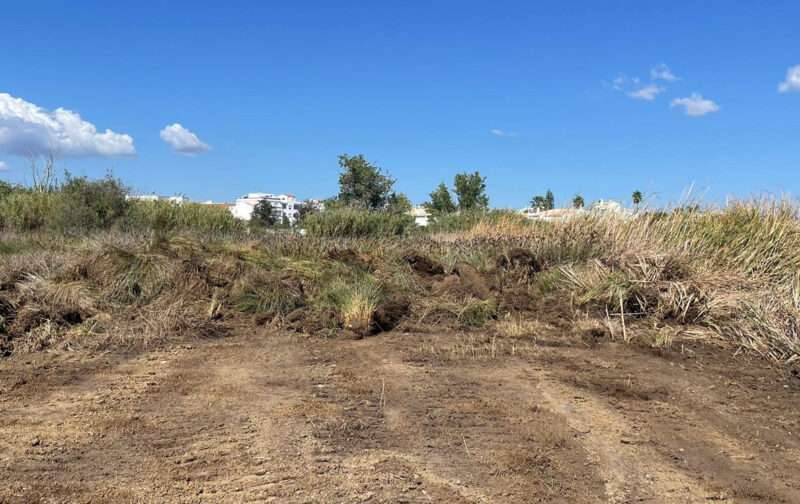 Alagoas Brancas: pausa na destruição