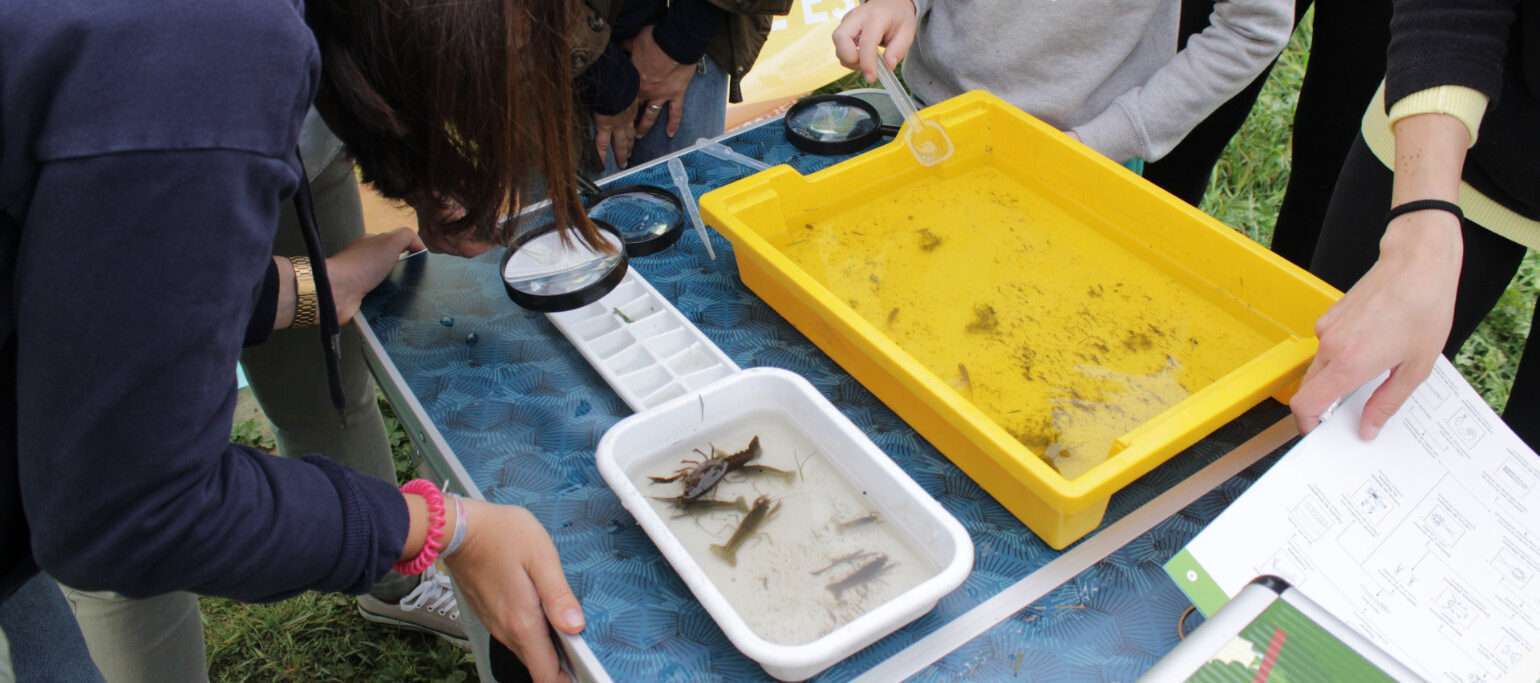 participantes a analisar amostras recolhidas em atividade com cientista na Lagoa Pequena