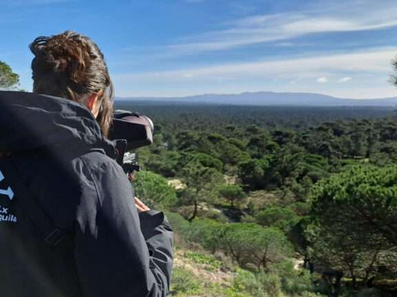 técnica SPEA a olhar por telescópio durante prospeção de ninhos de águia-de-bonelli