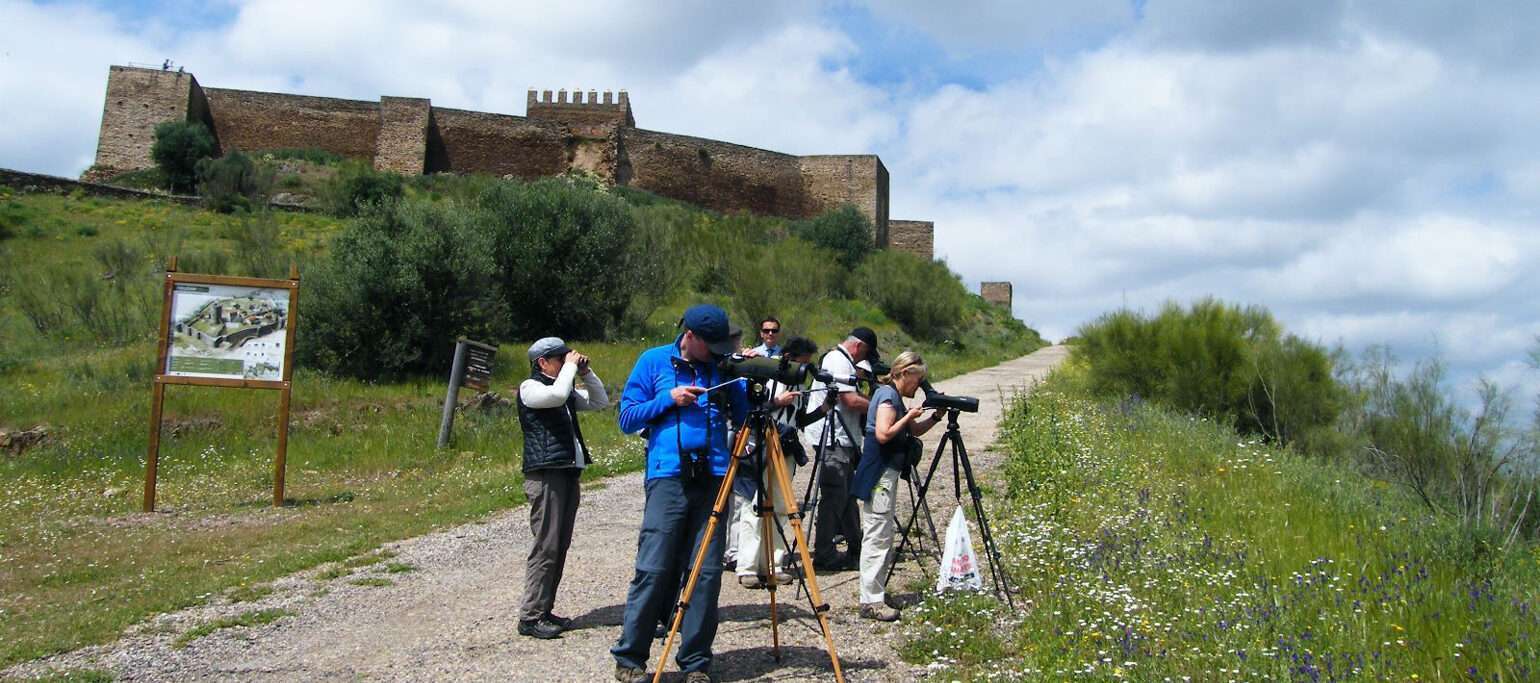 pessoas a observar aves no sudeste de Portugal
