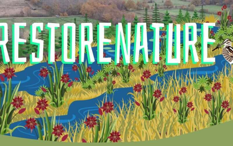 207 organizações europeias lançam apelo por uma Lei de Restauro de Natureza ambiciosa