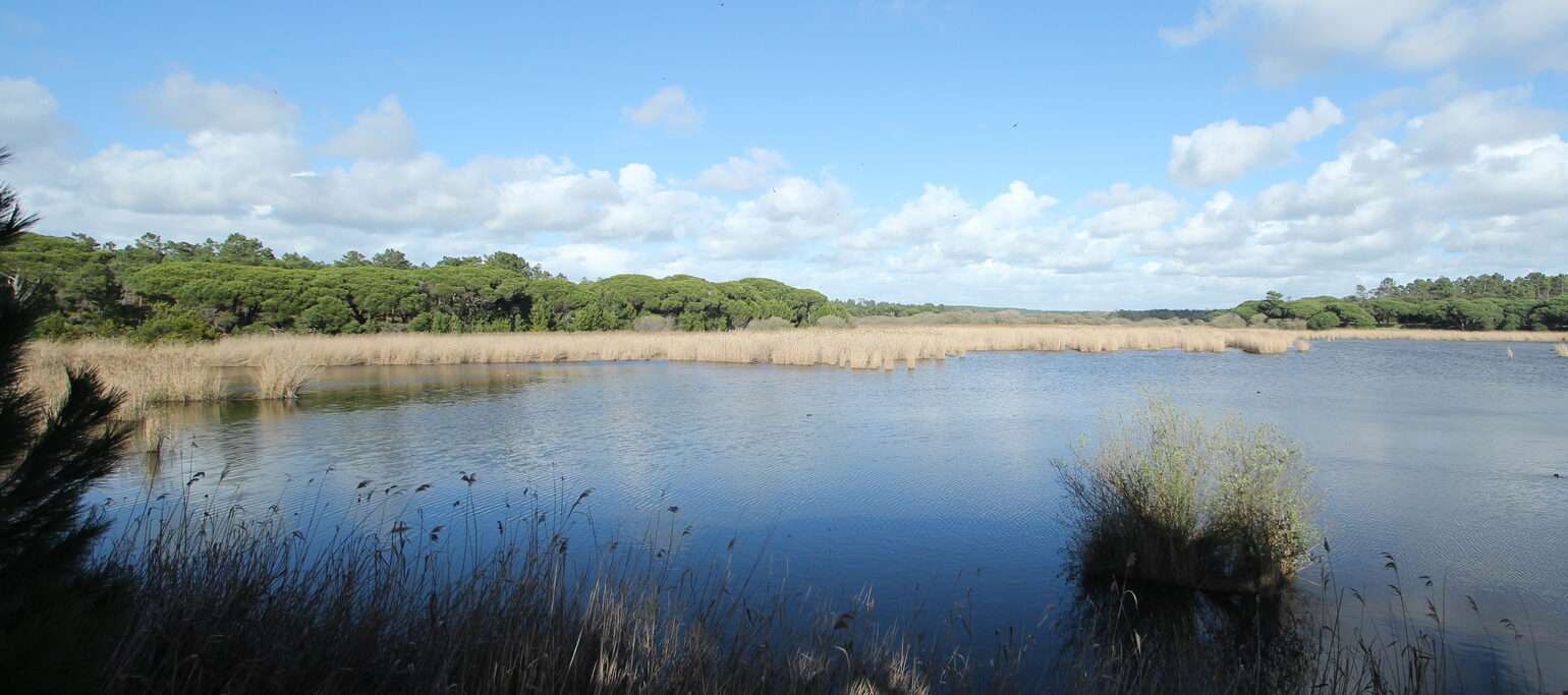 Visita Lagoa Pequena