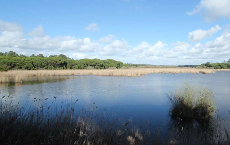 Ganhe uma visita guiada à Lagoa Pequena