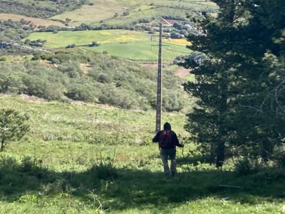 membro de staff SPEA a caminhar junto à linha elétrica onde foram encontrados os bufos-reais mortos