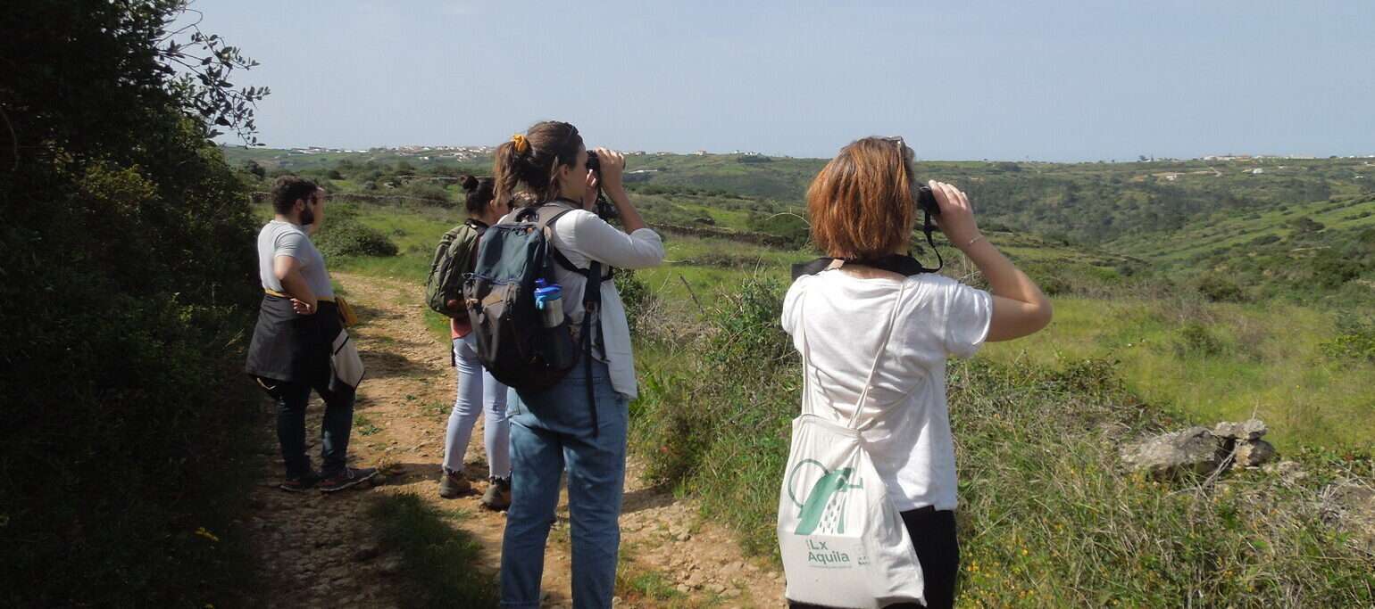 Dia Mundial das Aves Migratórias Mafra Carvalhal