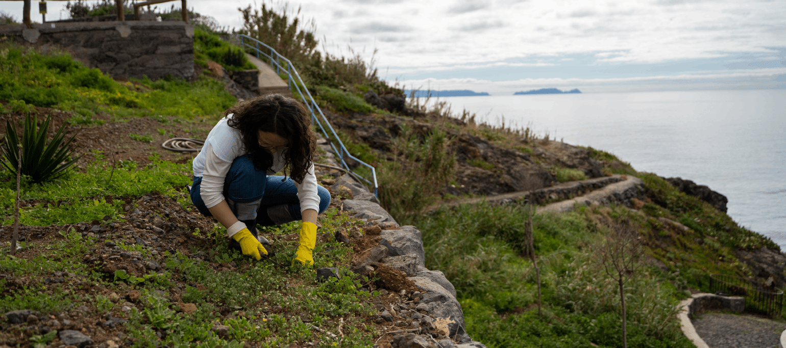 staff SPEA a limpar um jardim na Madeira