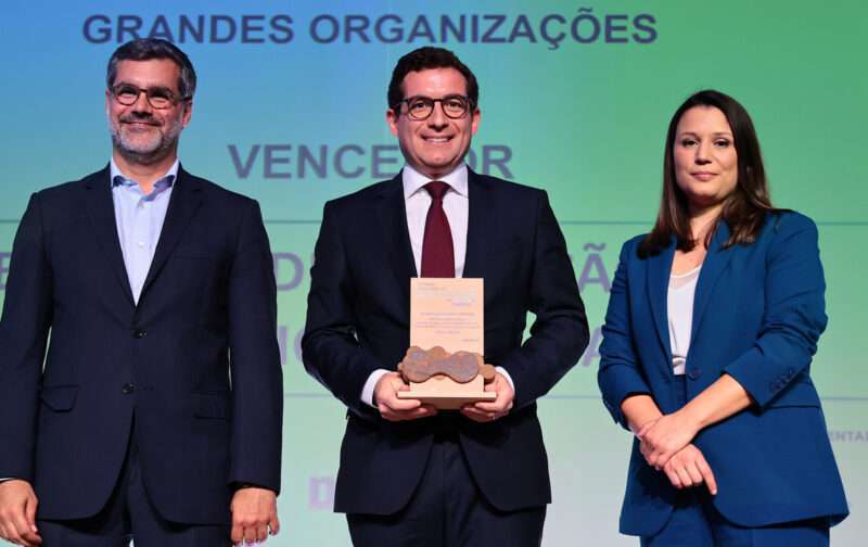 Prémio Nacional de Sustentabilidade reconhece importância de tornar as linhas elétricas seguras para aves