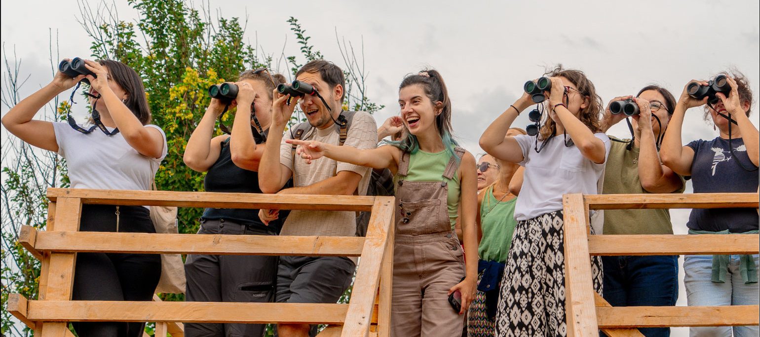 participantes em atividade Blooming Schools, com binóculos e a apontar, no topo de uma torre de observação de aves