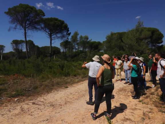 participantes do workshop de gestão florestal LIFE LxAquila a visitar áreas de intervenção do projeto em Alenquer